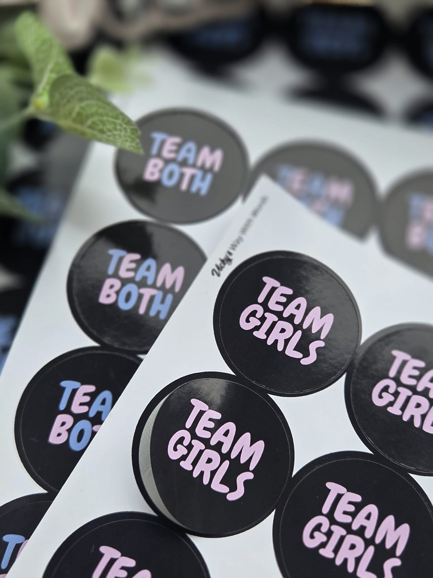 funky gloss black, pink blue twin gender reveal gloss stickers